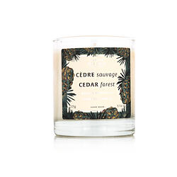 Panier des Sens Cedar Forest parfémovaná sviečka 275 g