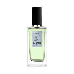 Burdin Carrure Pánska parfumová voda 100 ml (man)