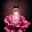 Zimaya Rose of Dreams EDP 100 ml (unisex)