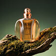 Dior Dune EDT 100 ml (woman)